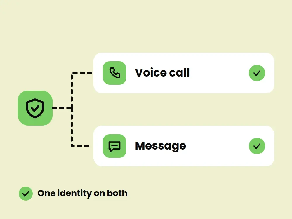 Developer API Integration